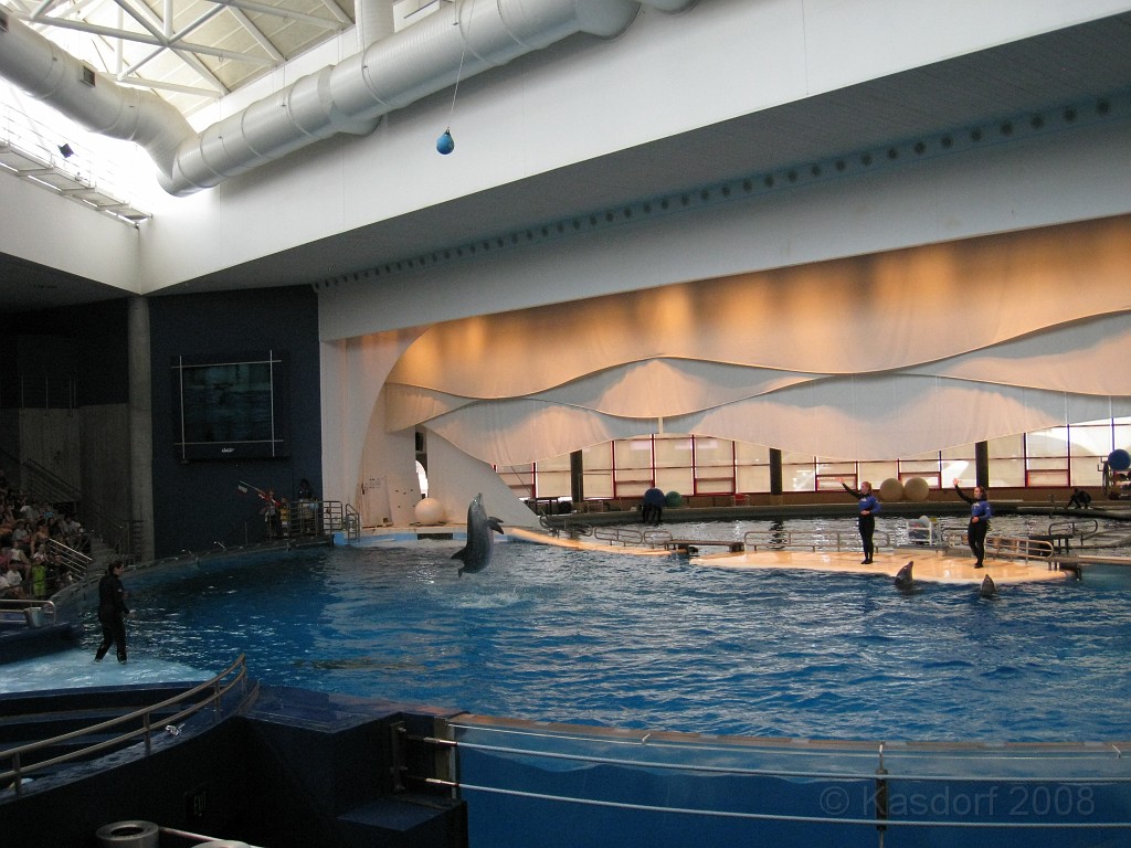 Baltimore MD 2009 1330.jpg - A 4th of July trip to Washington DC in 2009 included a stop in Baltimore MD to see the National Aquarium.